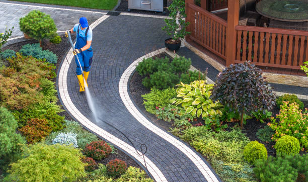 Best House Pressure Washing  in Elm Creek, TX